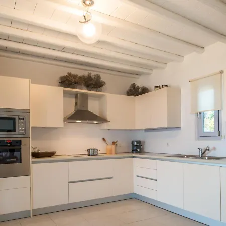 Villa Elegant Seaside Villa, Great Views, Infinity Pool, Lia, Mykonos